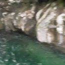 청학화원