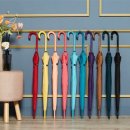 까르페디엠 이미지