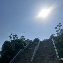 숲속카페 - 남동구 도림북로 41-11 | 목포 유달산장｜유달산 숲속에서 만난 감성 카페, 내돈내산 후기