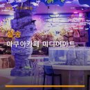 삼송 아쿠아카페 미디어아트 음료디저트체험 모두 알차게