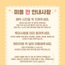 대구 고양이 미용 밀꼬냥 이미지