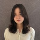 빌드민