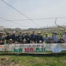 배봉사 이미지