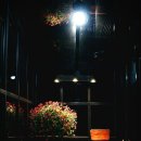 From(프롬)302