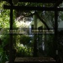 내곡동477 이미지