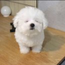 잘자