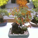 동래원예고등학교 이미지