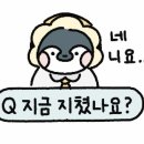 몽지람 이미지