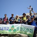 대평초 이미지