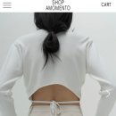 모멘토 Daum카페
