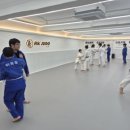 한양대 유도 이미지