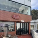 부산송정카페 CCD 뷰 좋은 현지인 카페 추천