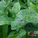 초의선사탄생지 기념전시관 이미지