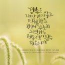 광남1동-4 이미지