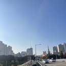 늦가을 밀린 일기