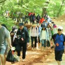 &#34;황톳길 걷고 건강 되찾았다&#34; 암극복 사례… 선양 조웅래 회장이 받은 문자 -대전일보 뉴스기사 이미지