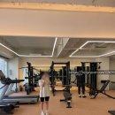 봄핏 바른체형운동&PT | [성남] 헬스초보의 운동일지 5탄 | 수내역pt 바른몸PT센터 솔직 후기