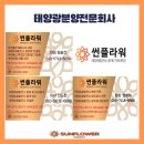 옥천태양광발전소 이미지