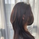 라무드헤어 이미지