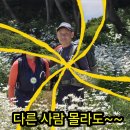 부안마실길( 샤스타데이지꽃)변산해수/고사포해수/하섬/솔섬/모항 이미지