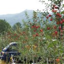 계곡 끝집 이미지