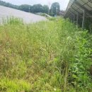 무성햇빛발전소 이미지