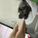 바른동물병원 이미지