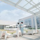 돌이가든 이미지