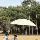 부여로피크닉 네이버블로그