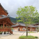 산청에가면 이미지