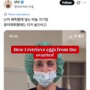 난자 채취할때 넣는 바늘 크기 이미지