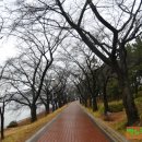 보문호수 이미지