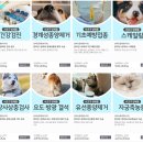 심바동물병원 이미지