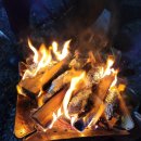 사계절오토캠핑장 이미지