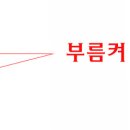 부름켜 이미지