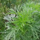 충우농장 이미지