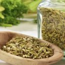 한의허브나라 이미지