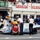 분홍돼지 이미지