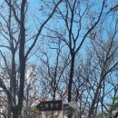 누비길3구간 이미지