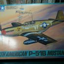 [TAMIYA] 1/48 P-51B MUSTANG (#1.부품정리와 콕핏 , 기체내부 도색) 이미지