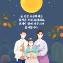 로이스안경원 이미지