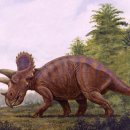 트리케라톱스-2 이미지