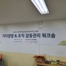 주식회사 바른중앙 이미지