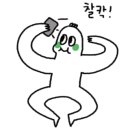 로이드밤(우장산)