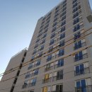 리언파크 이미지