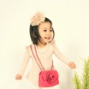 핑크바니 이미지