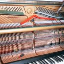 구산상회 이미지