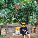 대부도한옥펜션 해솔 이미지