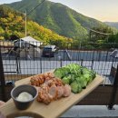 펫츠런파크 이미지