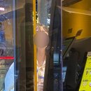 오름족발 - 제주시 동광로19길 22 | 오름족발